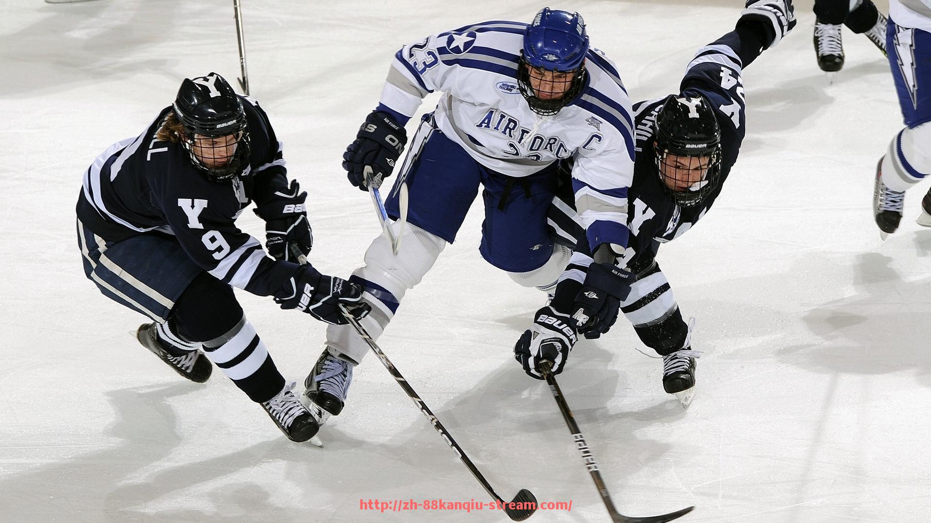 88看球网-世俱杯赞助资金使用规范流程设计与执行监督要点